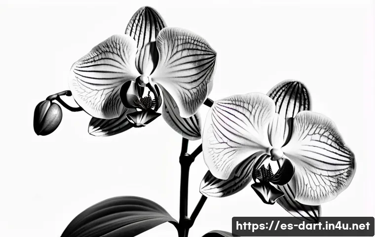 디지털아트 선화 스타일별 비교 - **Prompt:** A stunning, highly detailed botanical illustration of a delicate orchid, rendered entire...